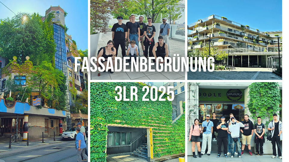 Die 3LR hat sich heute diverse Möglichkeiten der Fassadenbegrünung angeschaut.
#dualeausbildung #handwerk #lehre #fagartenbaufloristik #berufsschule #lehrausbildung #zukunftgestalten #fassadenbegrünung