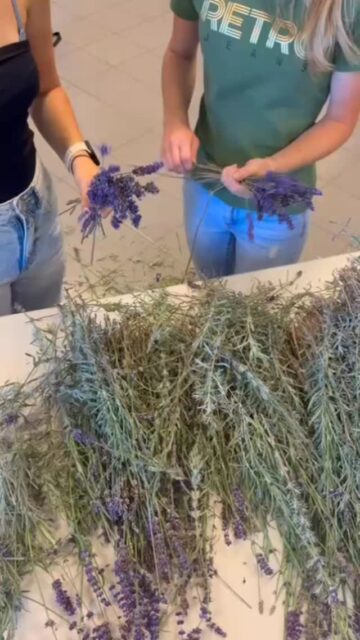 3BF Projekt Blumenbindermuseum-historische Gebinde #blumenbindermuseum #markart #langenachtdermuseen #biedermeierstrauß #zukunftgestalten #floristik #wienliebe #museum #lehrling #handwerk #lehre #kaiserlichundköniglich