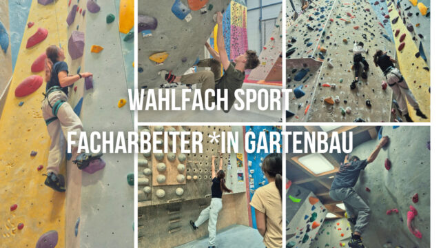 Aufstiegsmöglichkeiten mal anders ...
Besuch in der Kletterhalle mit den Schülerinnen der 1A, 2A und 3A im Wahlfach Bewegung und Sport