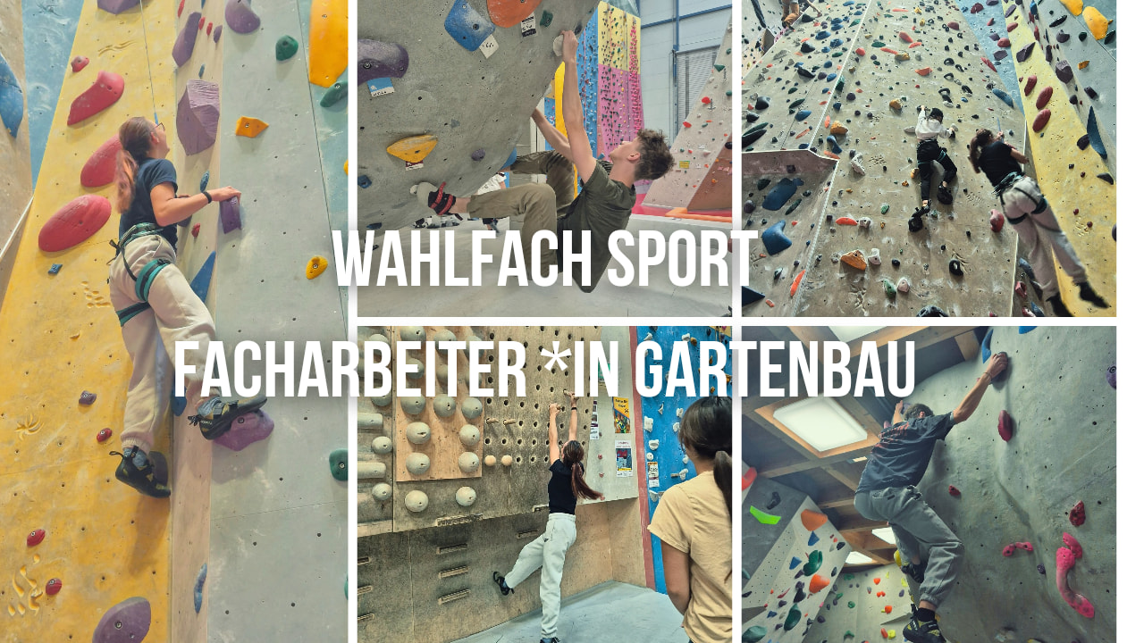 Aufstiegsmöglichkeiten mal anders ...
Besuch in der Kletterhalle mit den Schülerinnen der 1A, 2A und 3A im Wahlfach Bewegung und Sport