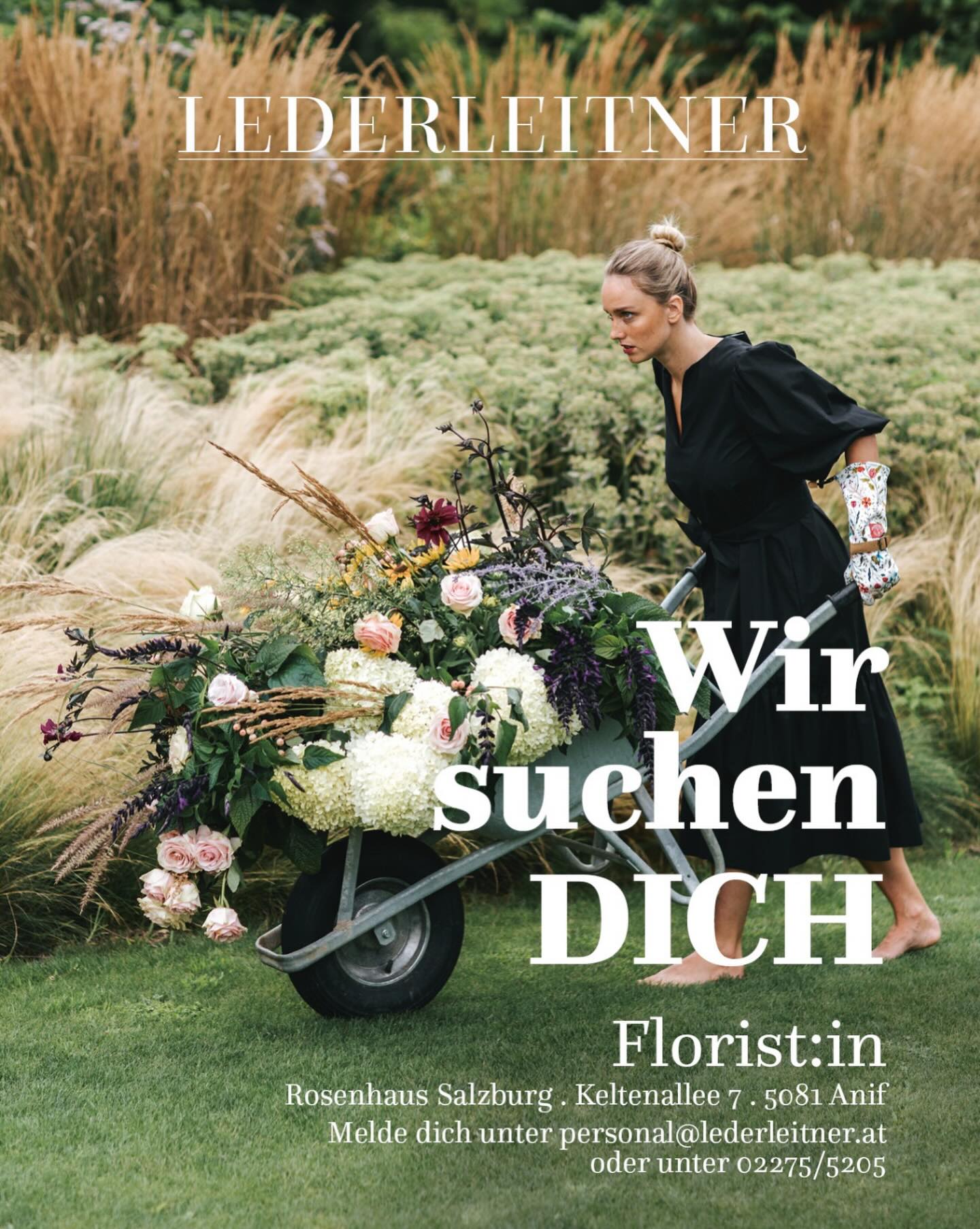 Gesucht wird nicht nur zu Ostern #floristin #Blumenfreund #gärtnerin